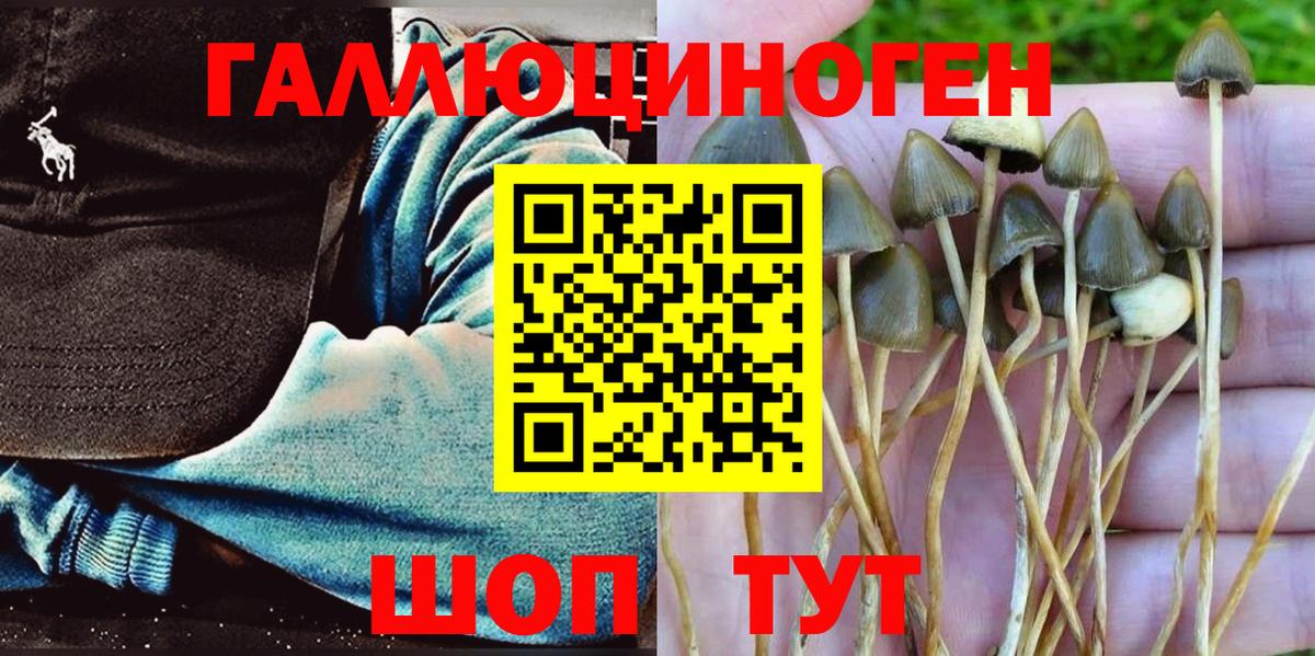 Псилоцибиновые грибы мицелий Калач-на-Дону