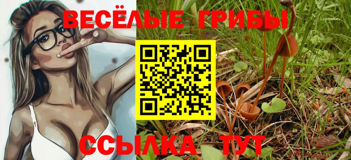 Галлюциногенные грибы Cubensis  закладки  Калач-на-Дону  Вход с VPN 